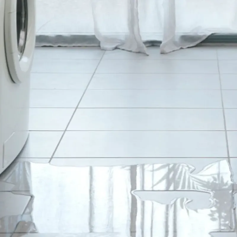 Appliance Leak Cleanup in Westland, MI